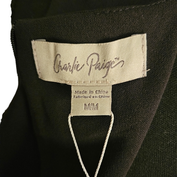 Charlie Paige NWT Black Sleeveless Dress - Picture 7 of 7